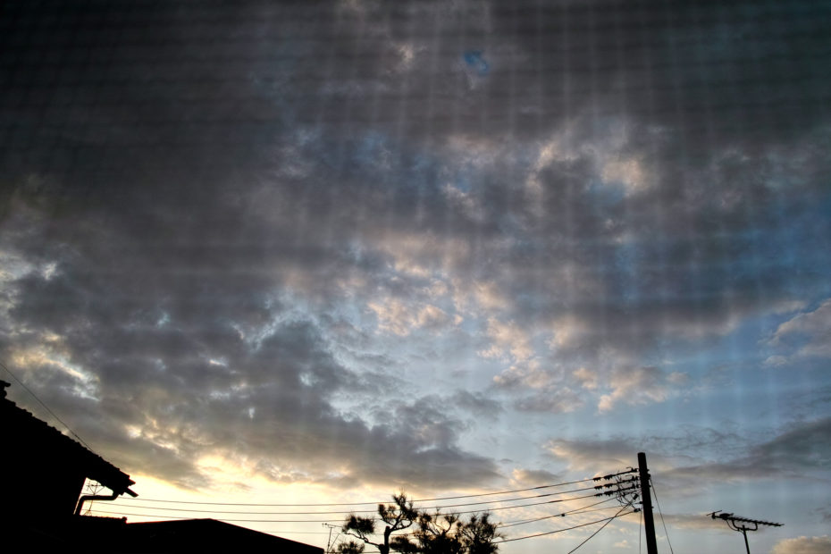 323/366 days photography season 7