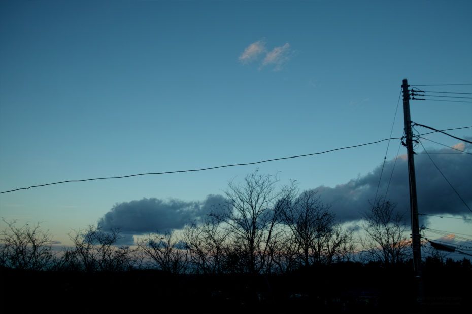 329/366 days photography season 7