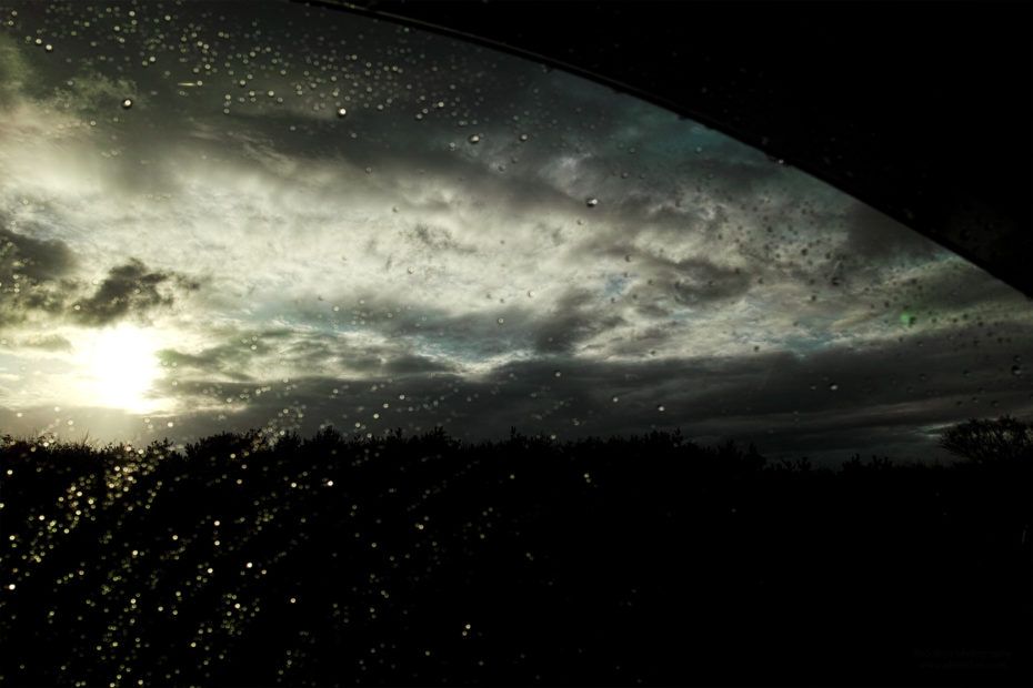 331/366 days photography season 7