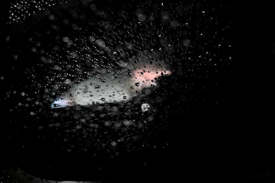 336/366 days photography season 7