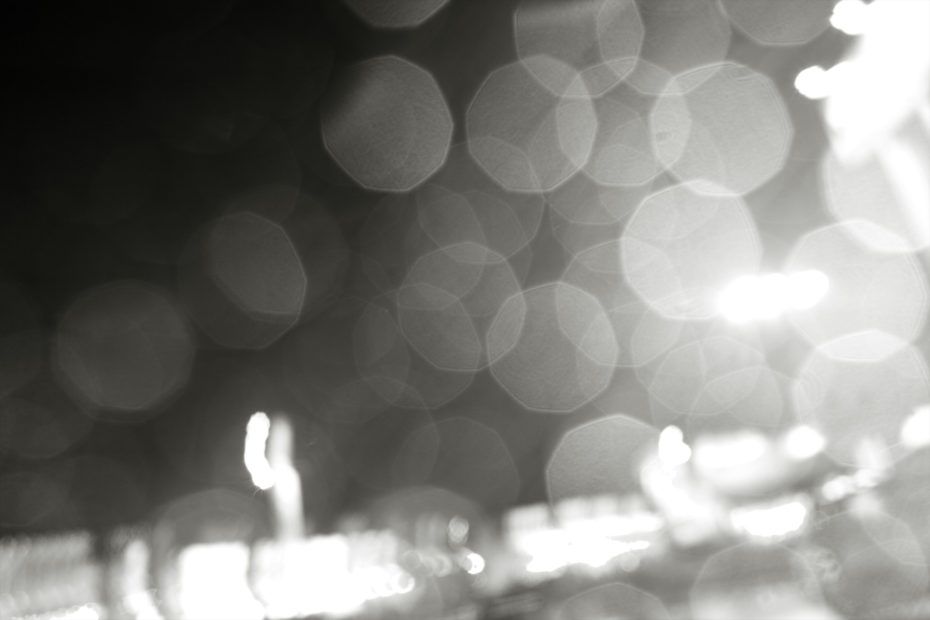338/366 days photography season 7