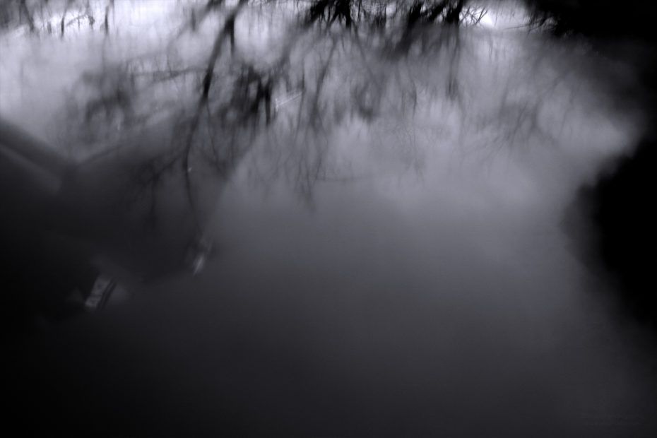 345/366 days photography season 7