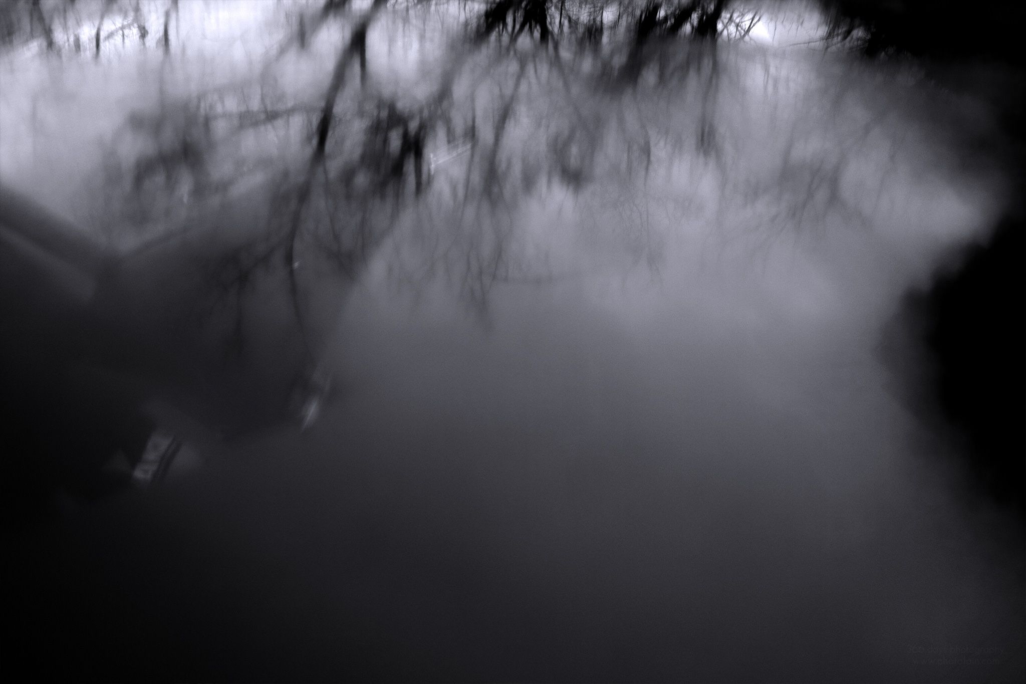 345/366 days photography season 7