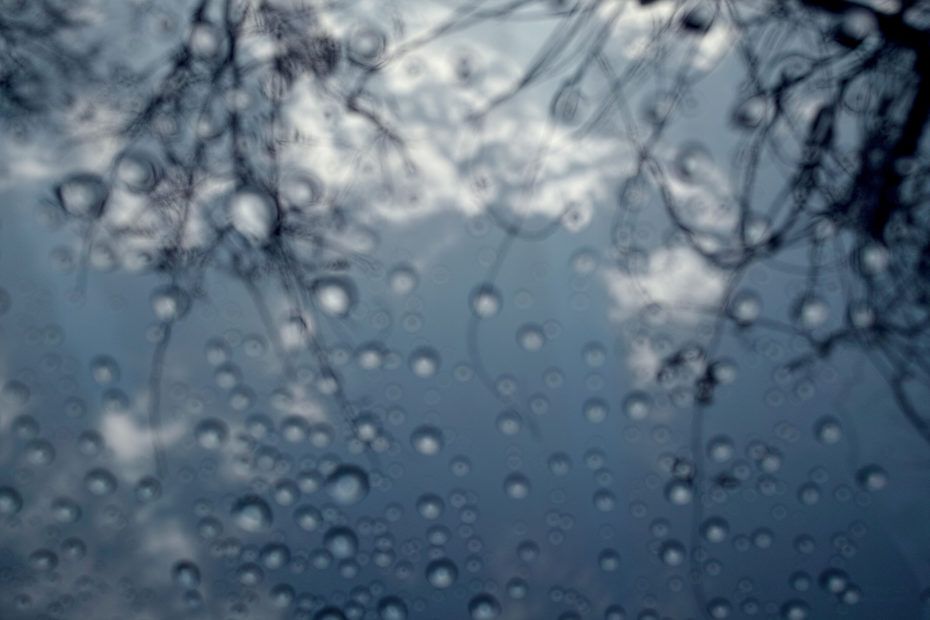 346/366 days photography season 7