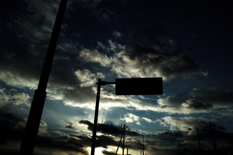356/366 days photography season 7