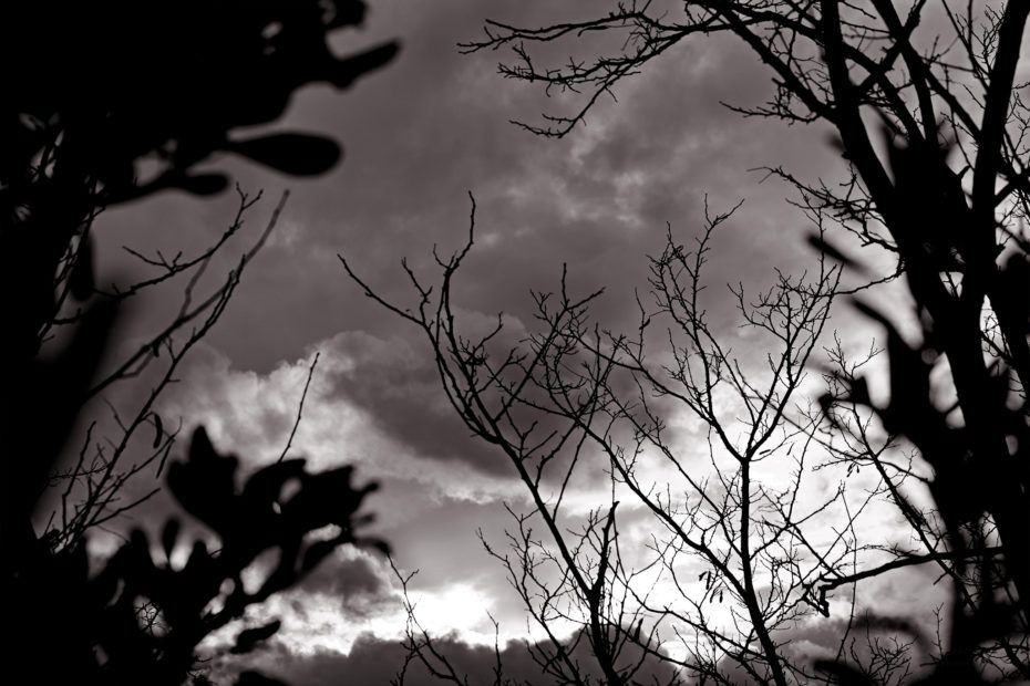 361/366 days photography season 7