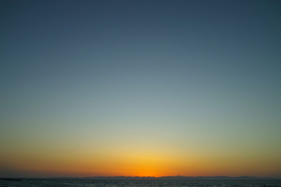 111/366 days photography season 8
