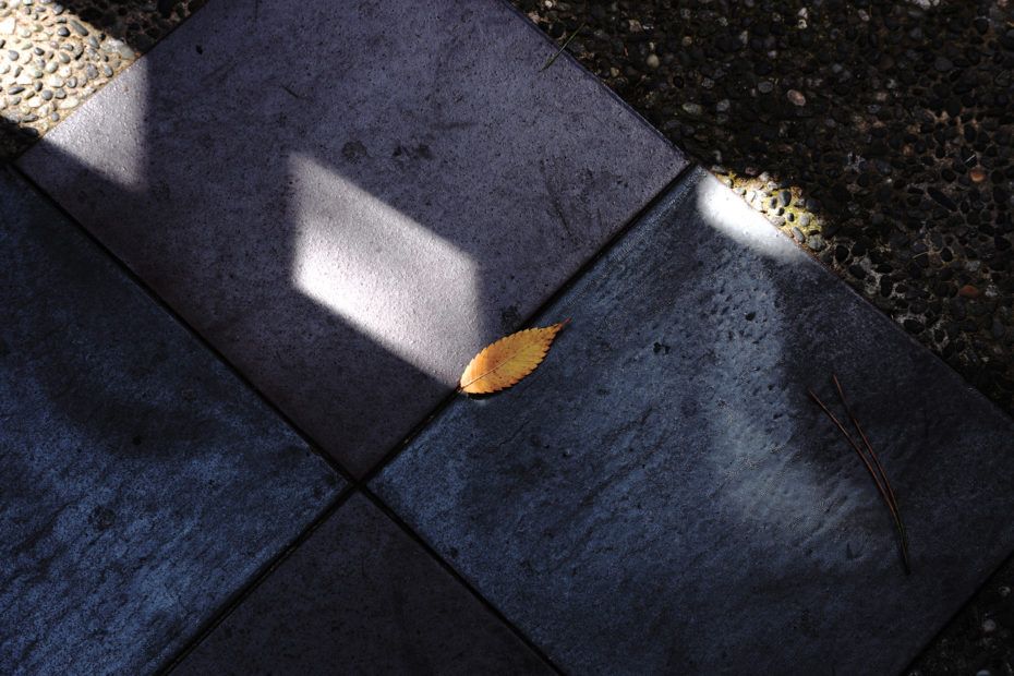 282/366 days photography season 8