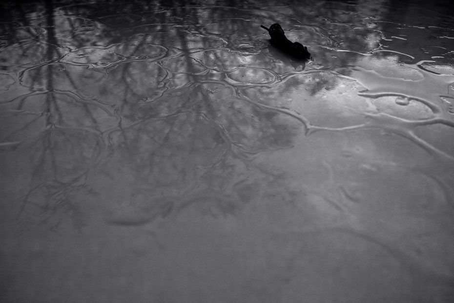 316/366 days photography season 8