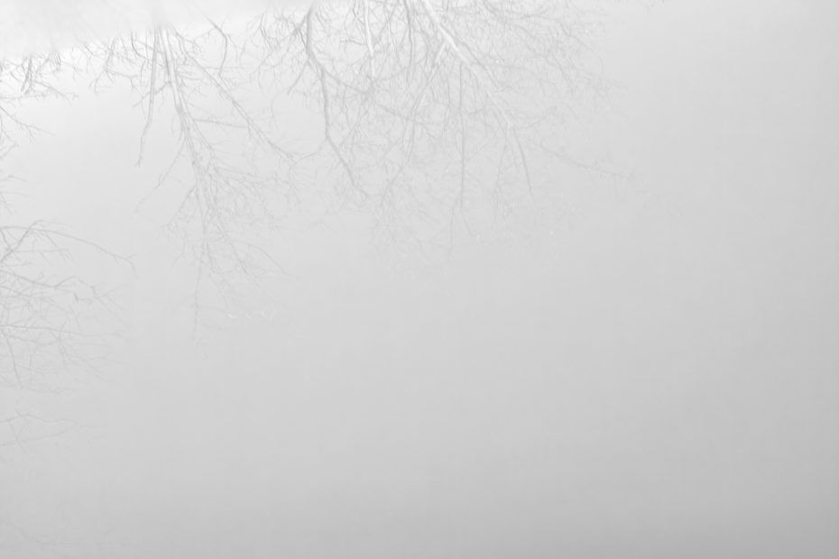 334/366 days photography season 8