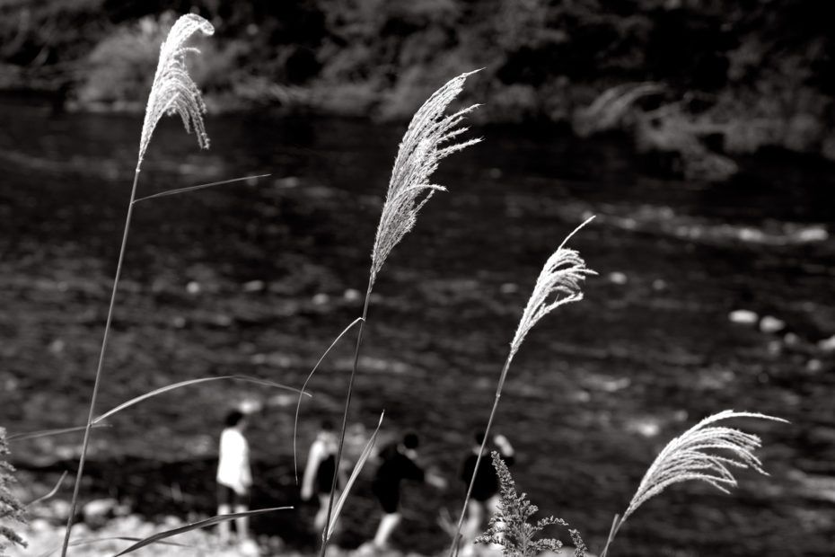 304/366 days photography season 8
