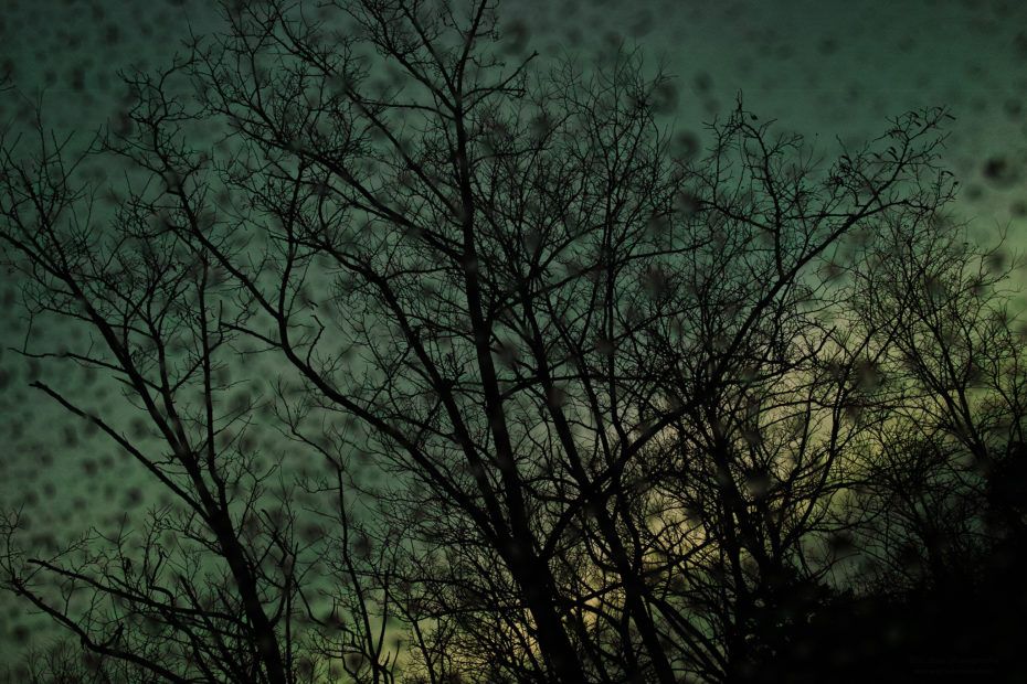 341/366 days photography season 8