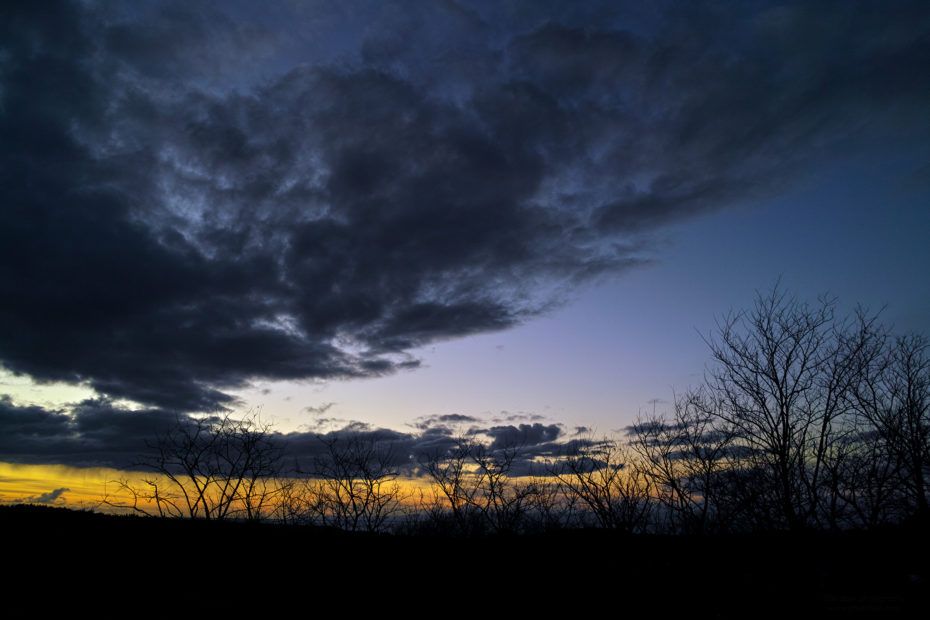 345/366 days photography season 8