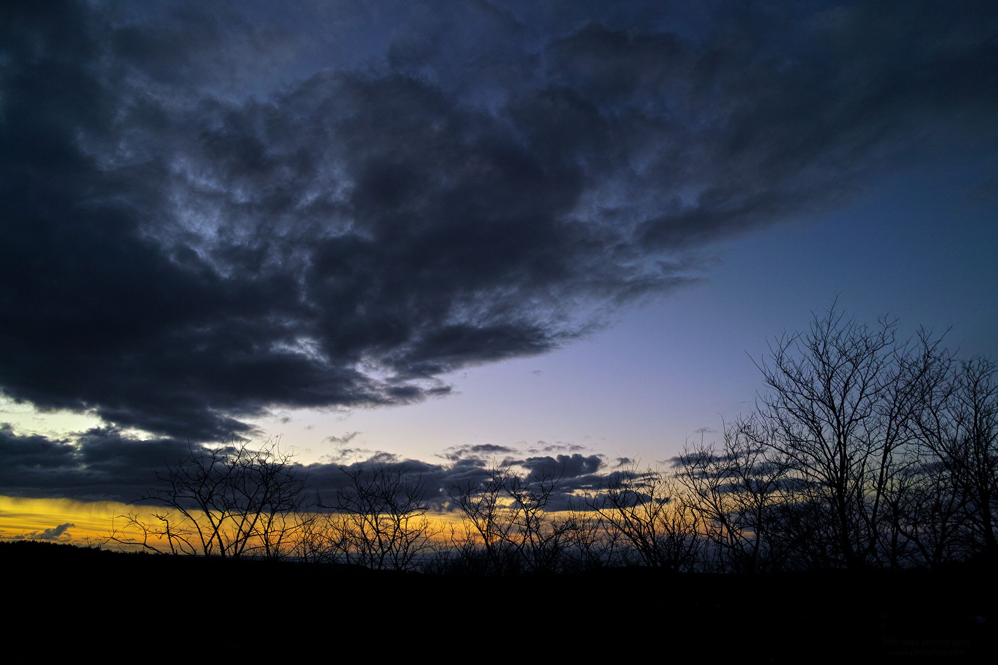 345/366 days photography season 8