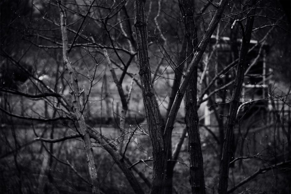 029/366 days photography season 9