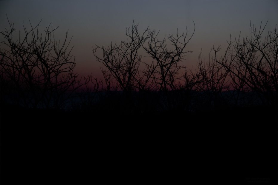 092/366 days photography season 9