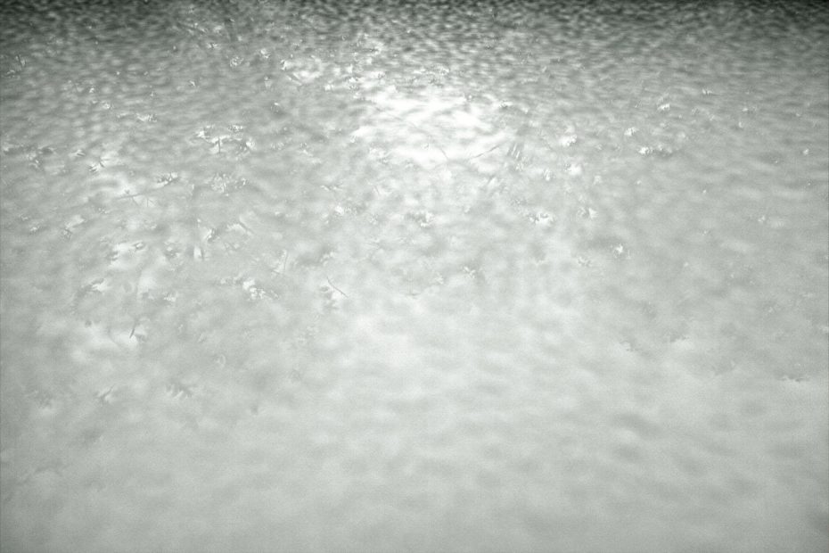 137/366 days photography season 9