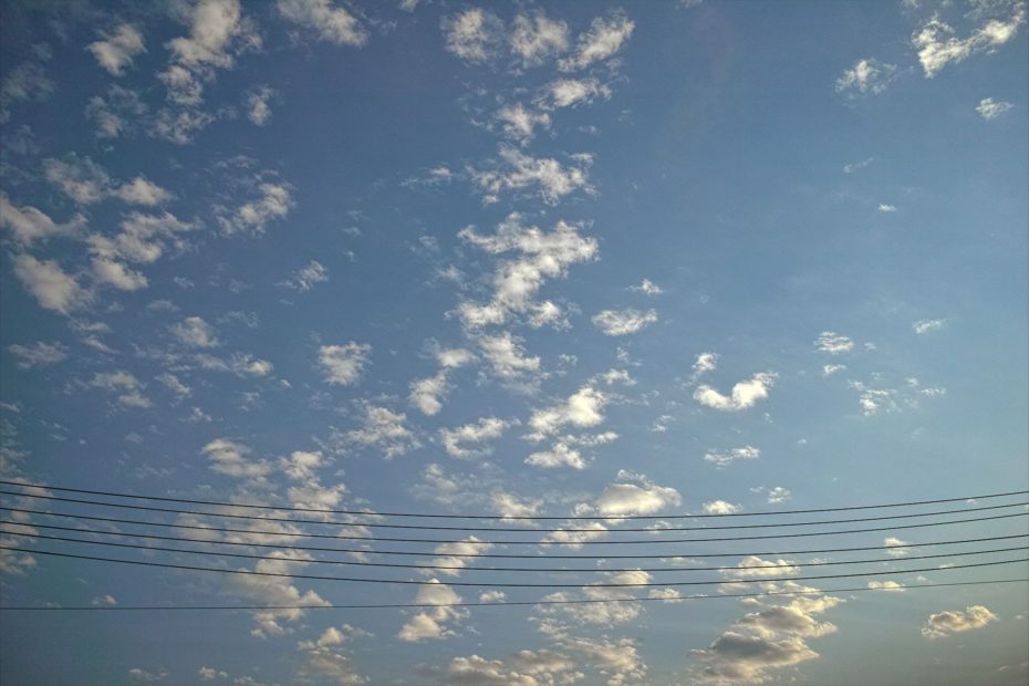 153/366 days photography season 9
