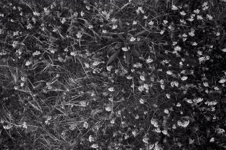 168/366 days photography season 9