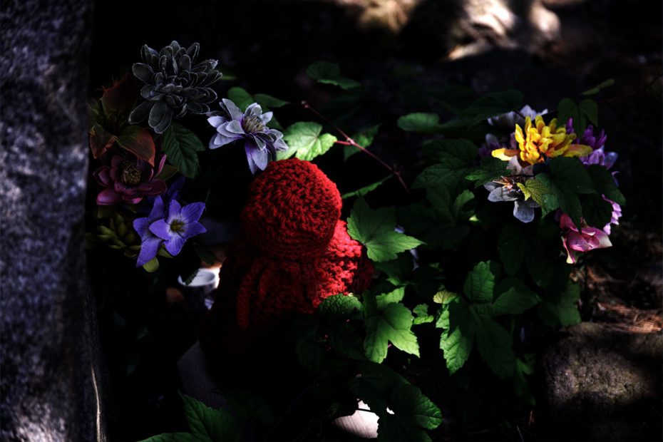 156/366 days photography season 9
