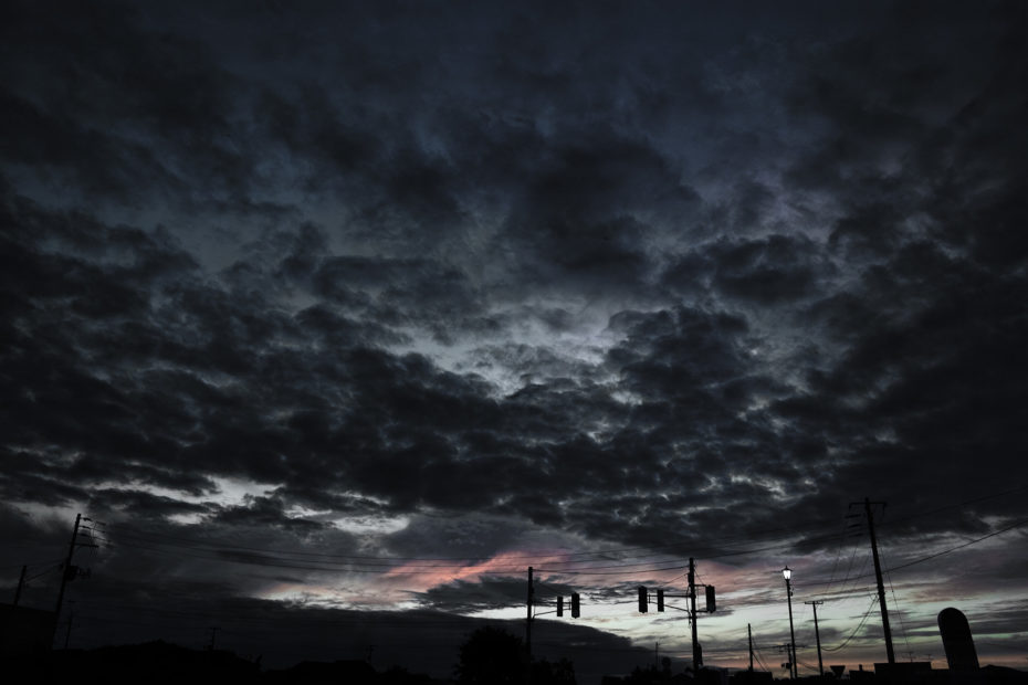 252/366 days photography season 9