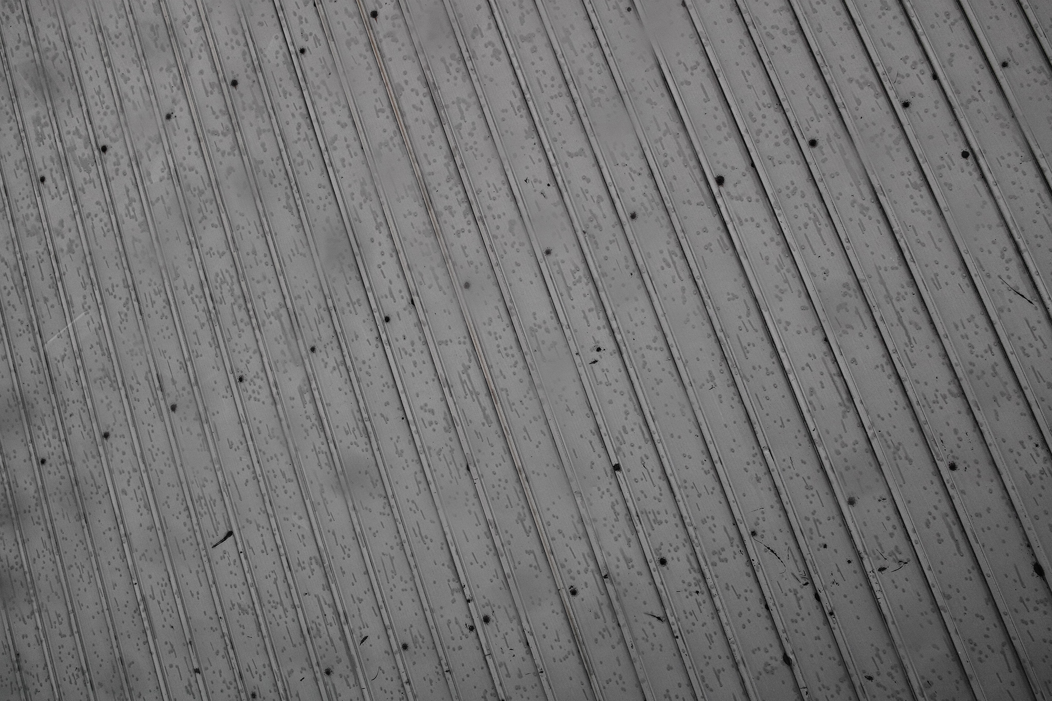 283/366 days photography season 9