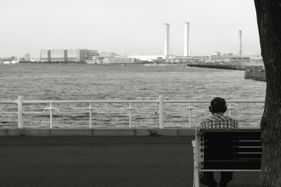 274/366 days photography season 9q