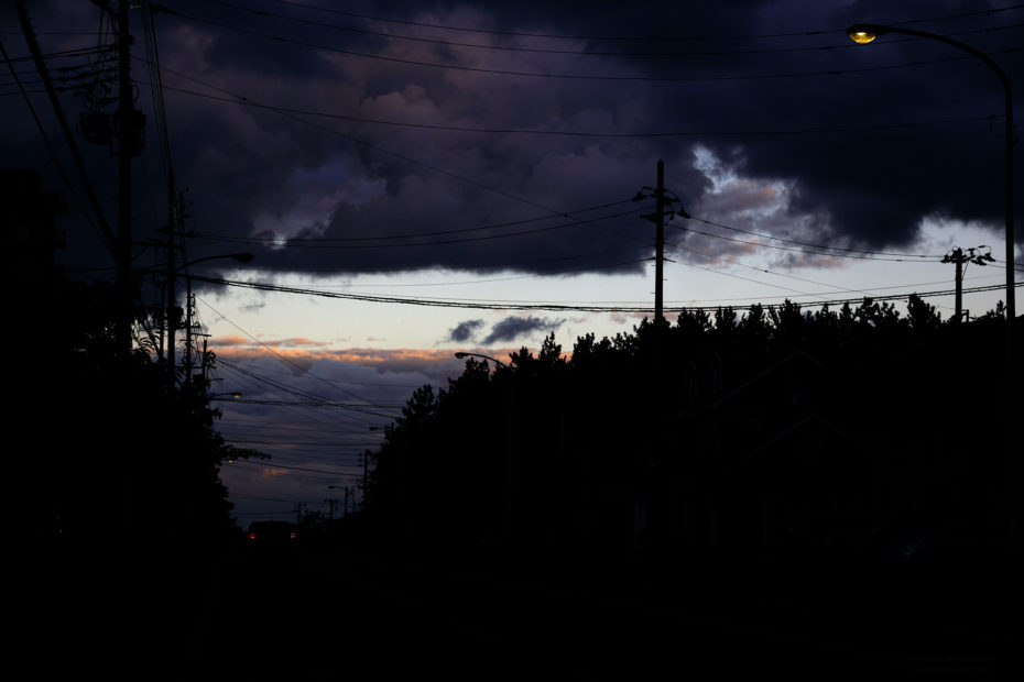 303/366 days photography season 9