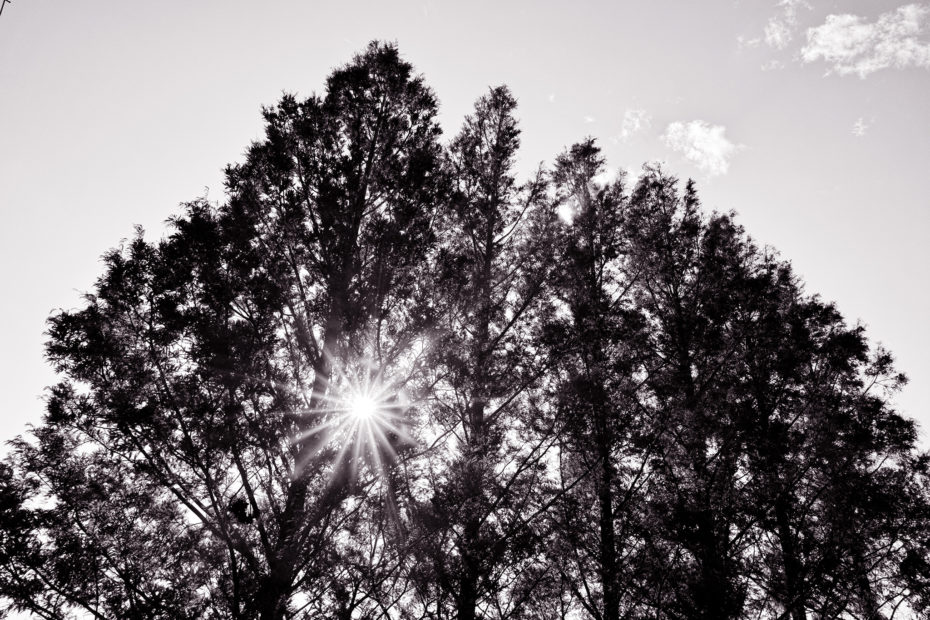 330/366 days photography season 9