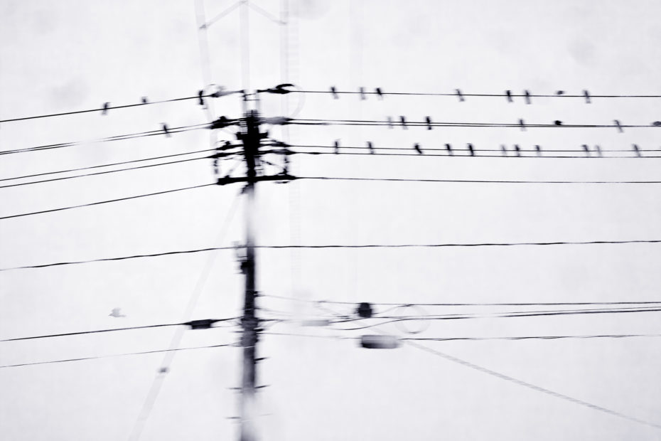 335/366 days photography season 9