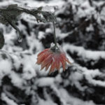 337366 days photography season 9