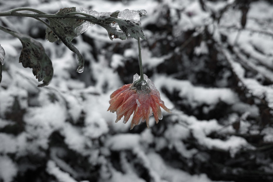 337366 days photography season 9