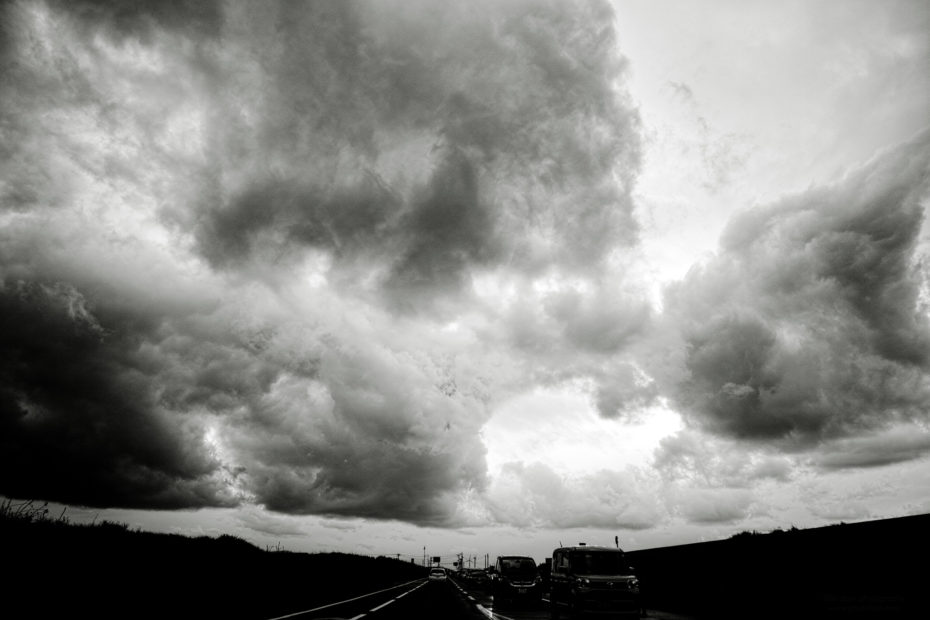 342/366 days photography season 9