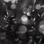 344/366 days photography season 9