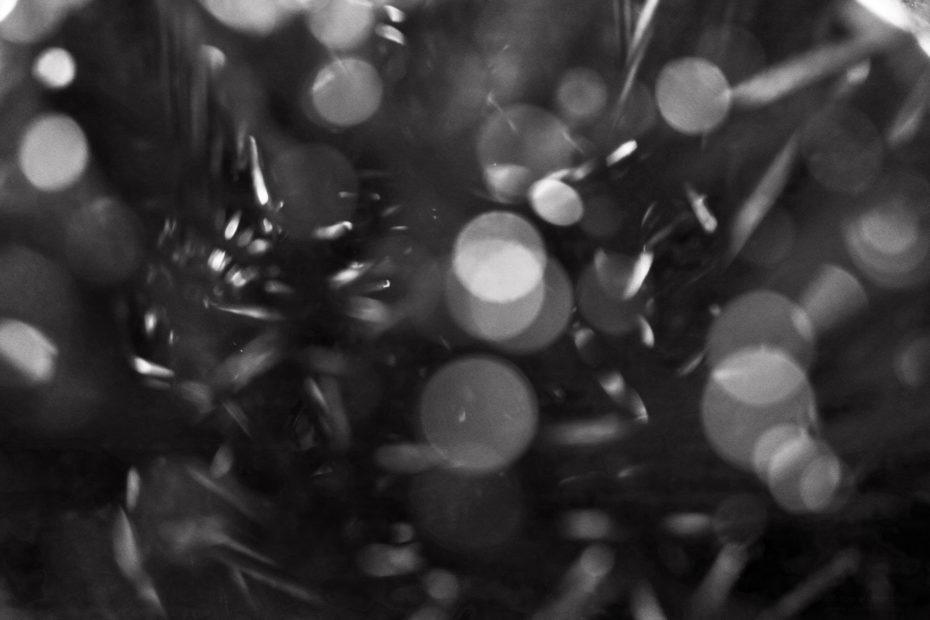 344/366 days photography season 9
