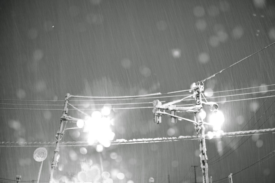 353/366 days photography season 9