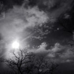 358/366 days photography season 9