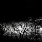 363/366 days photography season 9