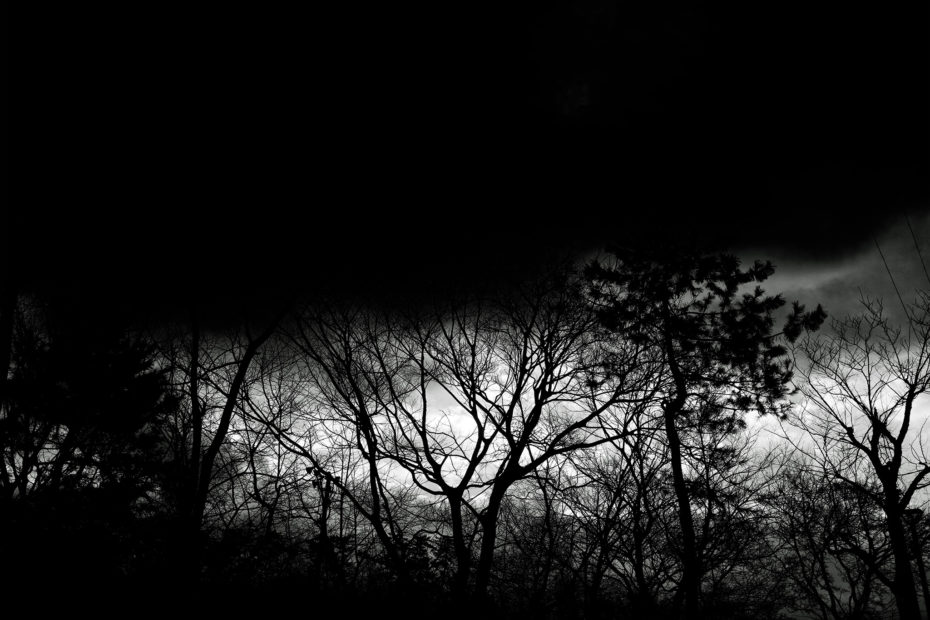 363/366 days photography season 9