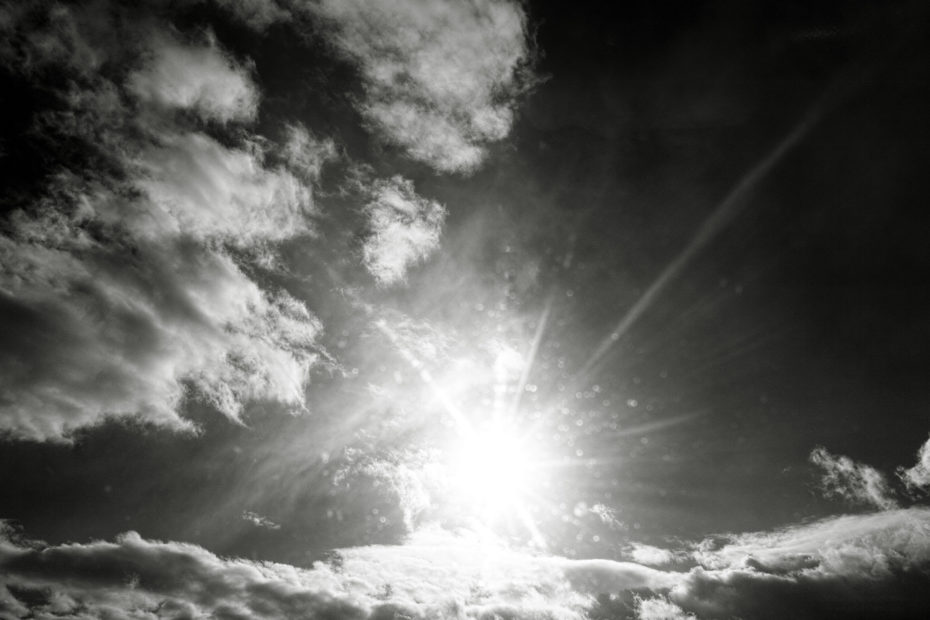 002/366 days photography season 10