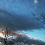 006/366 days photography season 10