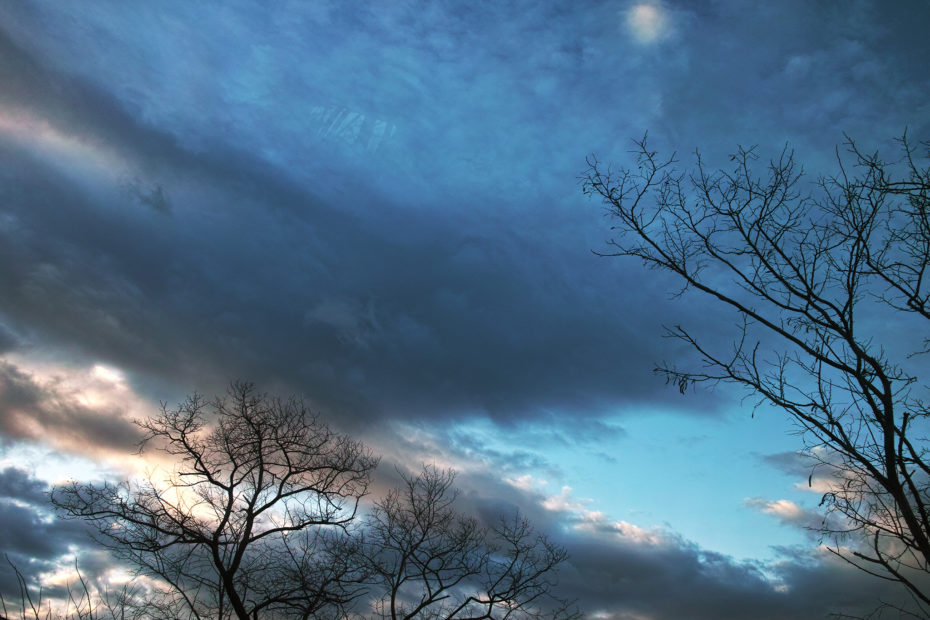 006/366 days photography season 10