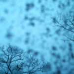 010/366 days photography season 10