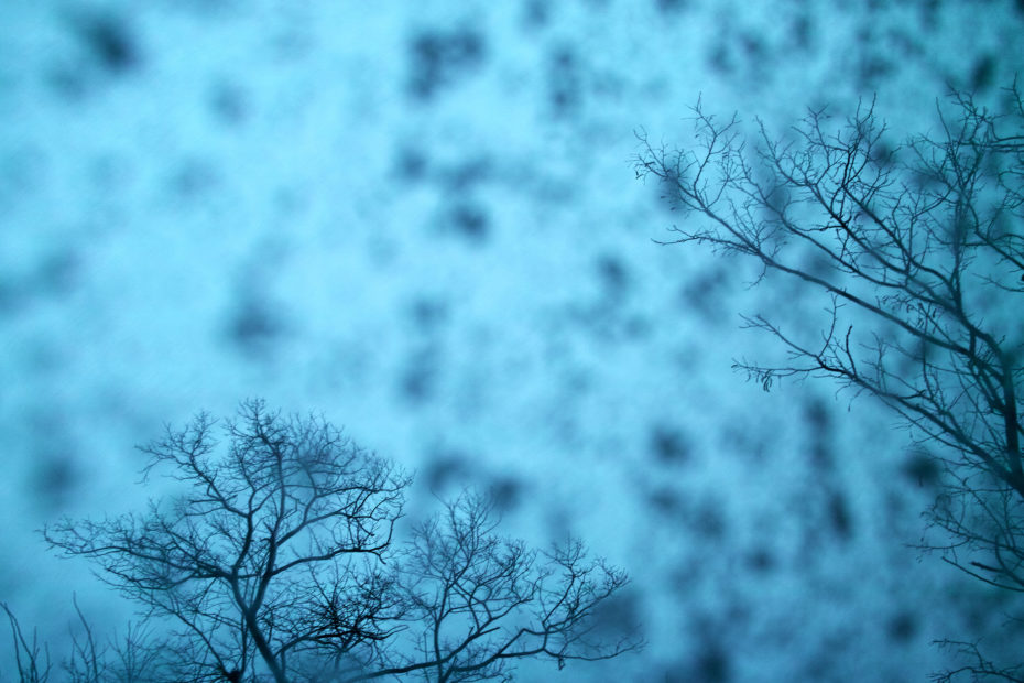 010/366 days photography season 10