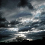 011/366 days photography season 10