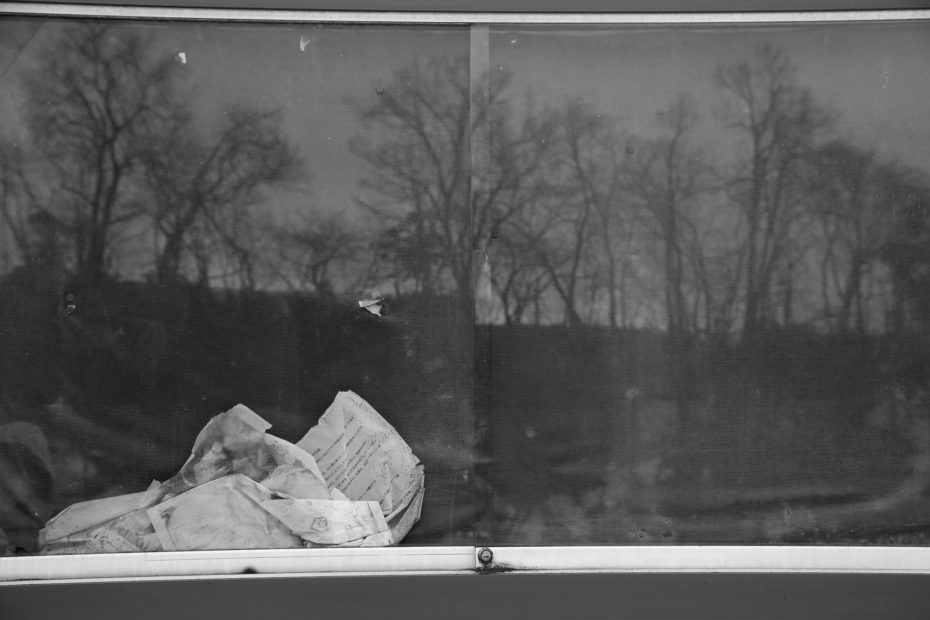 015/366 days photography season 10