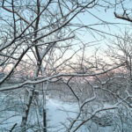 030/366 days photography season 10