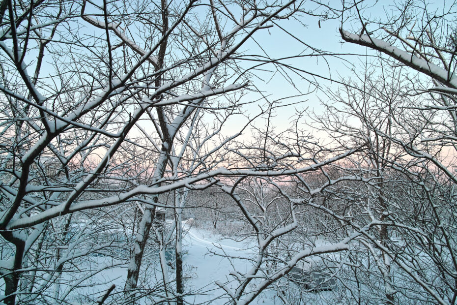 030/366 days photography season 10