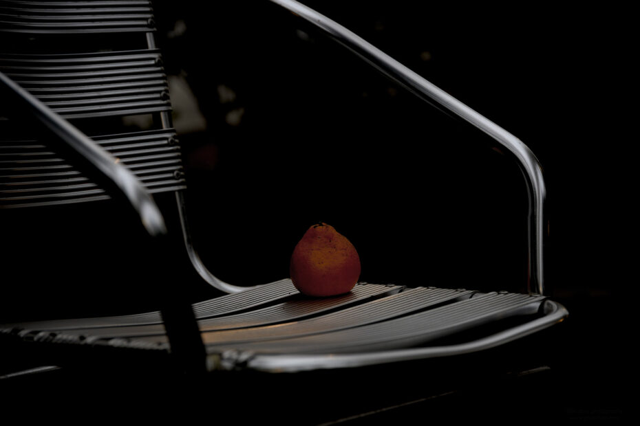 043/366 days photography season 10