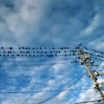 045/366 days photography season 10